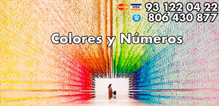 Los colores y numeros